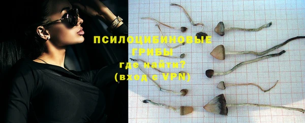 твердый Магас