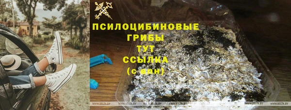 тгк Арсеньев