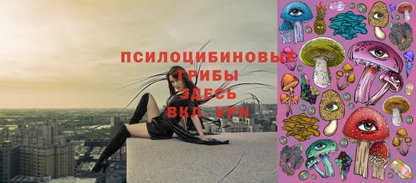 дурь Аркадак