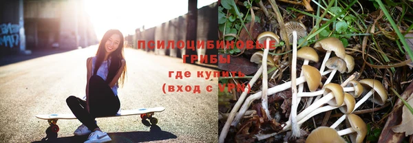 прущие крисы Армянск