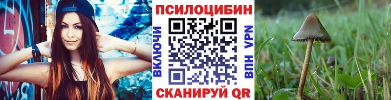 Псилоцибиновые грибы мицелий  ОМГ ОМГ ссылка  Асбест 