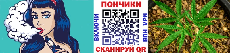 купить сайты гидра ТОР Каннабис OG Kush Асбест
